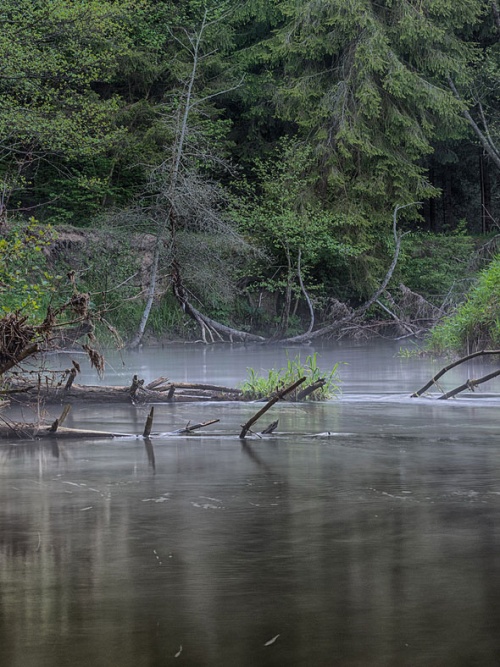 Популярные направления