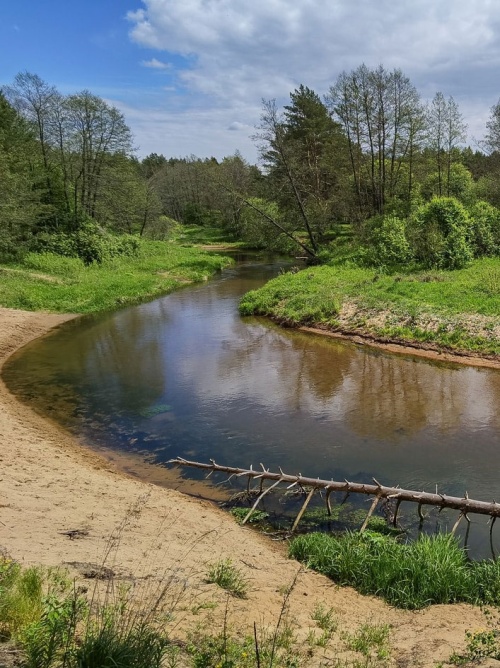 Популярные направления