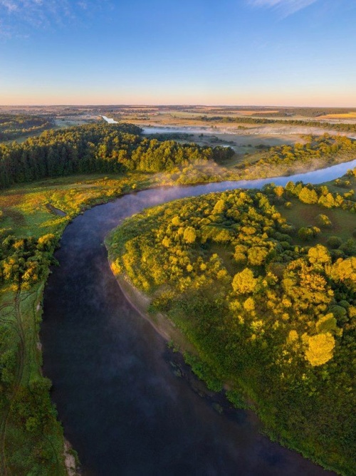 Популярные направления