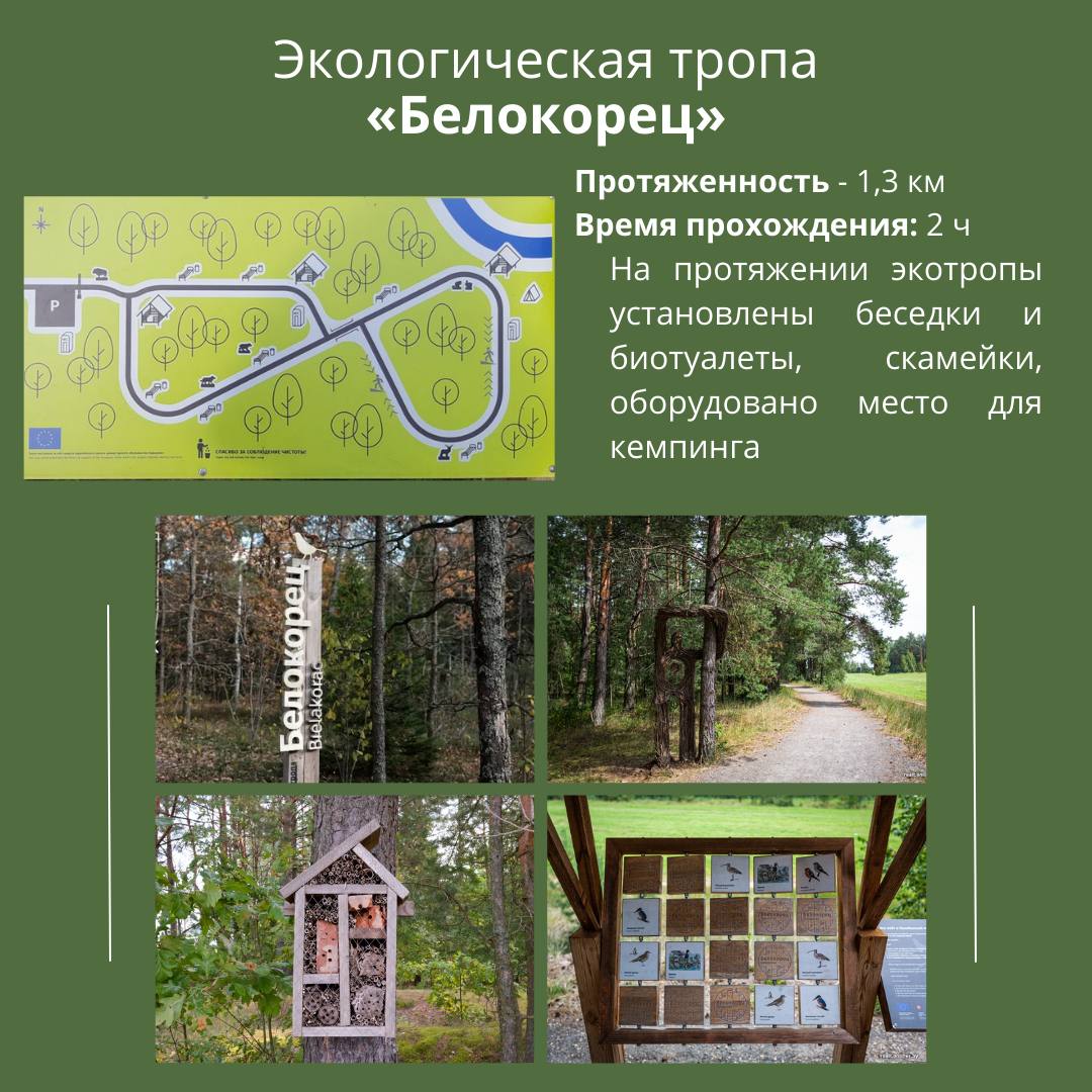 Экотропа «Белокорец»