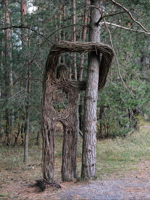 Популярные направления