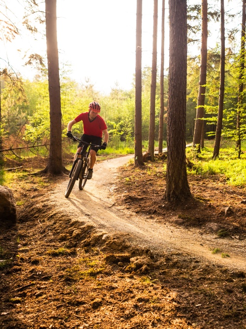 Популярные направления