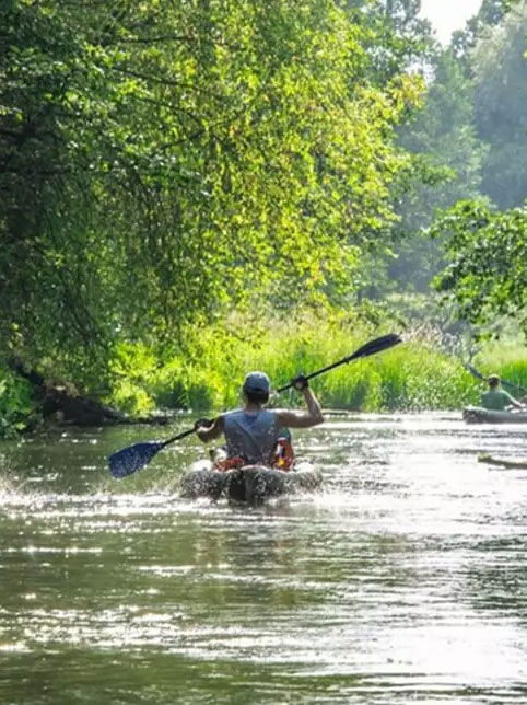 Популярные направления