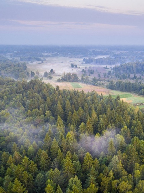 Популярные направления