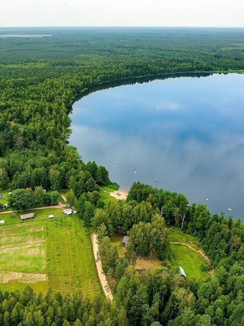 Популярные направления